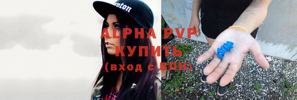 эйфоретик Дмитриев