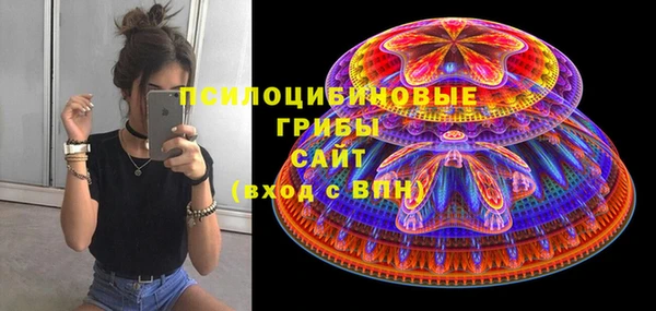 эйфоретик Дмитриев