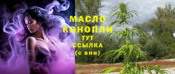 эйфоретик Дмитриев
