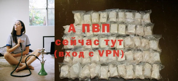 эйфоретик Дмитриев